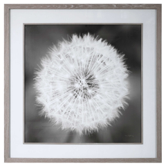 Dandelion Seedhead Framed Art Print, Uttermost - RSVP Style