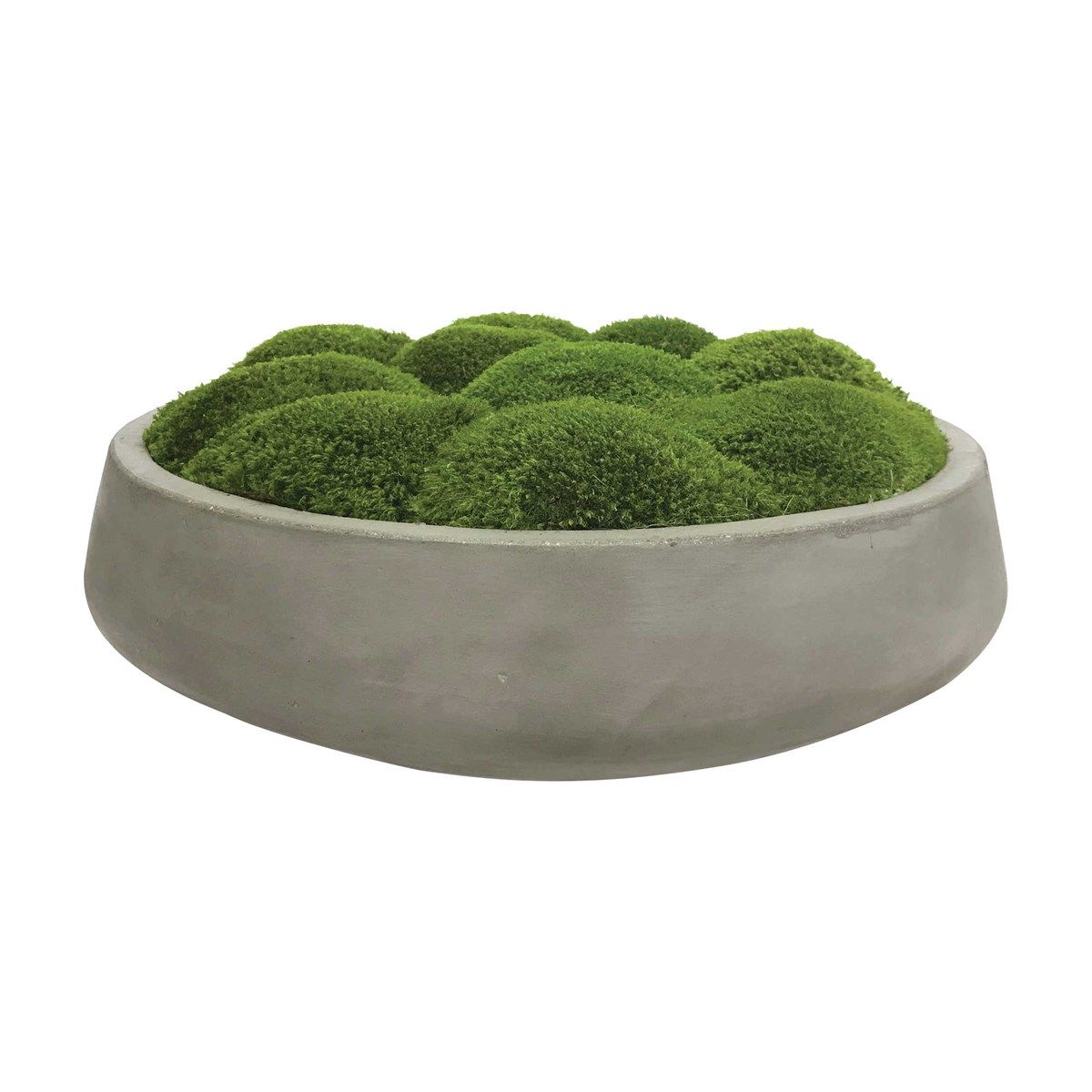 Preserved Mood Moss In Concrete Bowl - RSVP Style