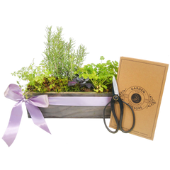 You Grow Girl – Herb Garden Gift Basket, RSVP Style - RSVP Style
